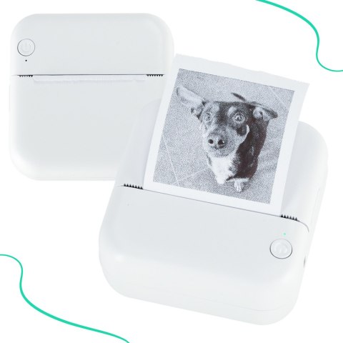 Drukarka Mini Termiczna Do Zdjęć i Notatek - Kieszonkowa Bluetooth Drukarka Mini Termiczna Do Zdjęć i Notatek - Kieszonkowa Bluetooth