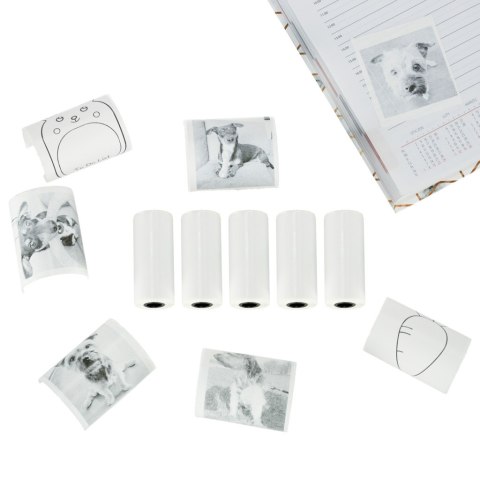 Rolki Papieru Termicznego Samoprzylepnego do Mini Drukarki MagiCat - 5 sztuk Rolki Papieru Termicznego Samoprzylepnego do Mini Drukarki MagiCat - 5 sztuk