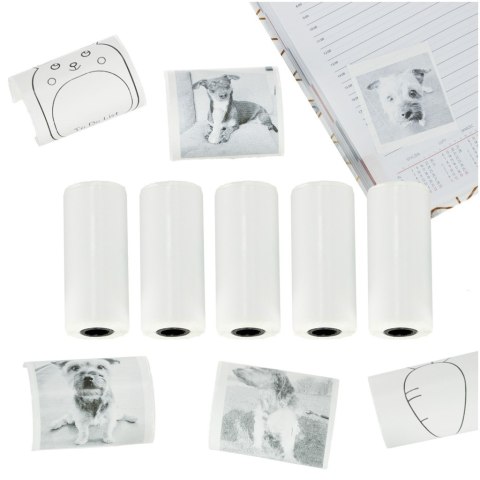 Rolki Papieru Termicznego Samoprzylepnego do Mini Drukarki MagiCat - 5 sztuk Rolki Papieru Termicznego Samoprzylepnego do Mini Drukarki MagiCat - 5 sztuk