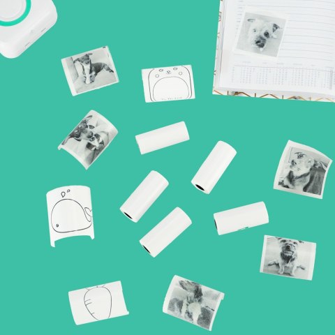 Rolki Papieru Termicznego Samoprzylepnego do Mini Drukarki MagiCat - 5 sztuk Rolki Papieru Termicznego Samoprzylepnego do Mini Drukarki MagiCat - 5 sztuk