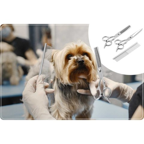 Maszynka Groomer Master Pethaus PH-100, LCD – Pielęgnacja Psów i Kotów Maszynka Groomer Master Pethaus PH-100, LCD – Pielęgnacja Psów i Kotów