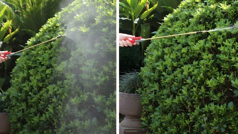 Opryskiwacz Ciśnieniowy Ogrodowy 5L, 2.5 bar – Regulowana Dysza, Lanca I Pasek MultiGarden Opryskiwacz Ciśnieniowy Ogrodowy 5L, 2.5 bar – Regulowana Dysza, Lanca I Pasek MultiGarden