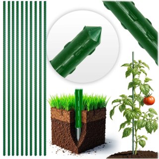 Wzmocnione Tyczki do Roślin Plonos 120 cm 10 szt