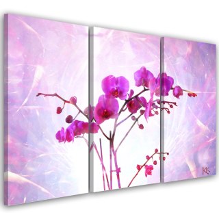 Tryptyk, obraz na płótnie, Różowa orchidea - 150x100