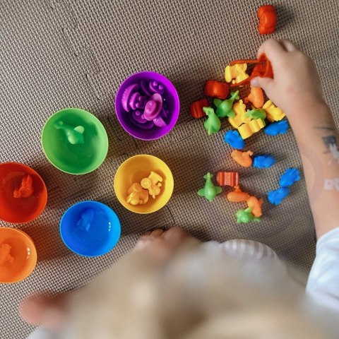 WOOPIE Zabawka Edukacyjna Sorter Dinozaury dla Dzieci Montessori 56 el WOOPIE Zabawka Edukacyjna Sorter Dinozaury dla Dzieci Montessori 56 el