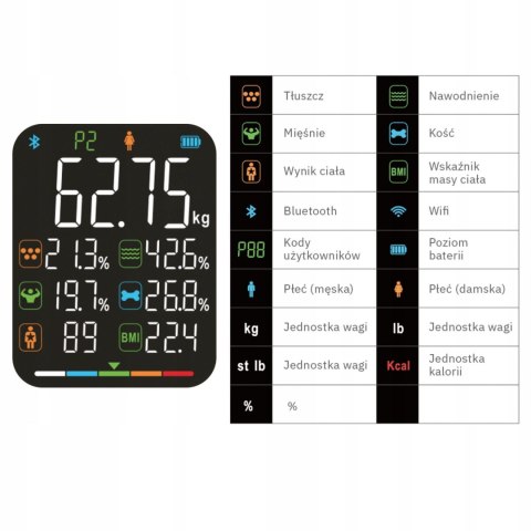 Analityczna Waga Łazienkowa WEBBER – Bluetooth, Analiza Składu Ciała, LCD, 180kg