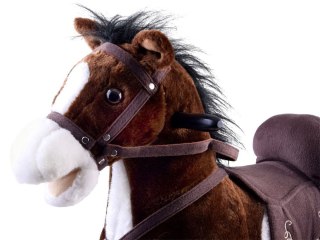 Konik Na Biegunach Ciemnobrązowy Ruch Dźwięk