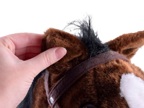 Konik Na Biegunach Ciemnobrązowy Ruch Dźwięk