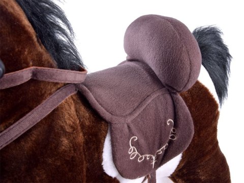 Konik Na Biegunach Ciemnobrązowy Ruch Dźwięk