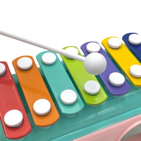 Muzyczny Sorter Samochodzik Woopie – Cymbałki, Klocki, Rozwój Motoryki