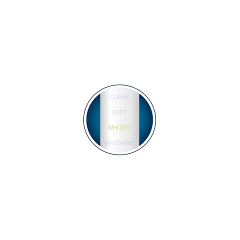 Szczoteczka Soniczna Do Zębów BERDSEN Sonica B3 Z Etui – 40 000 Ruchów