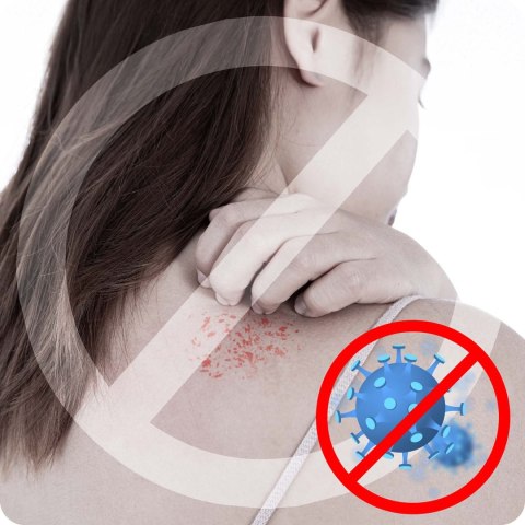 Parownica Do Ubrań Berdsen BD-311 1600W – Steamer Ręczny, 26g/Min