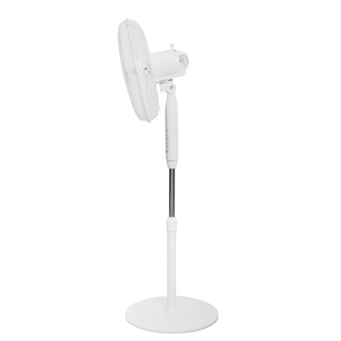 Wentylator Stojący 40 cm 45W Pilot Timer Cichy Oscylacja BauerKraft