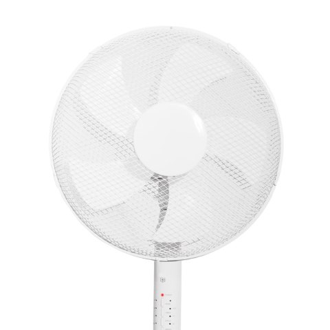 Wentylator Stojący 40 cm 45W Pilot Timer Cichy Oscylacja BauerKraft