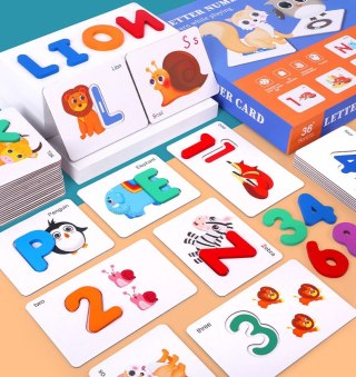 Edukacyjny Zestaw do Nauki Języka Angielskiego – Litery, Słówka i Cyfry