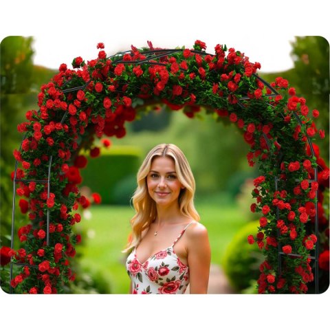 Pergola Ogrodowa Metalowa 240x140 cm Łuk – Plonos, Czarna