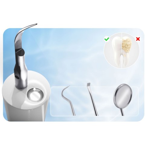 Skaler Ultradźwiękowy Do Zębów LED Do Usuwania Kamienia Berdsen 4 Tryby