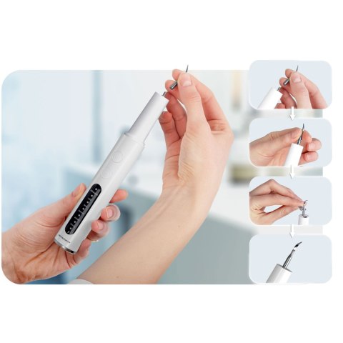 Skaler Ultradźwiękowy Do Zębów LED Do Usuwania Kamienia Berdsen 4 Tryby