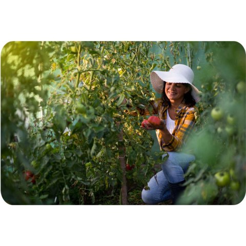 Tunel Foliowy Ogrodowy Plonos 2×3 m – Szklarnia 6 m2 Zielona 16mm