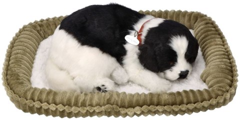 Oddychający Pies Border Collie Perfect Petzzz Interaktywny Szczeniaczek