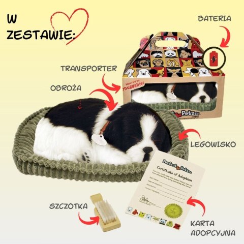 Oddychający Pies Border Collie Perfect Petzzz Interaktywny Szczeniaczek