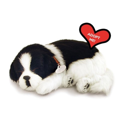 Oddychający Pies Border Collie Perfect Petzzz Interaktywny Szczeniaczek