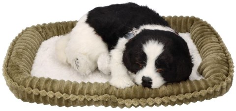 Oddychający Pies Border Collie Perfect Petzzz Interaktywny Szczeniaczek