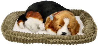 Oddychający Pies Beagle Perfect Petzzz Interaktywny Szczeniaczek