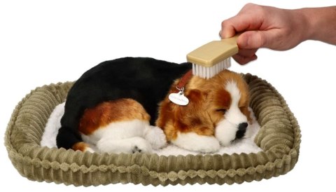 Oddychający Pies Beagle Perfect Petzzz Interaktywny Szczeniaczek