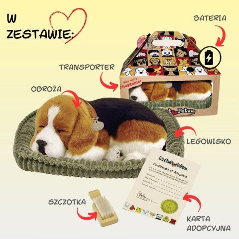 Oddychający Pies Beagle Perfect Petzzz Interaktywny Szczeniaczek