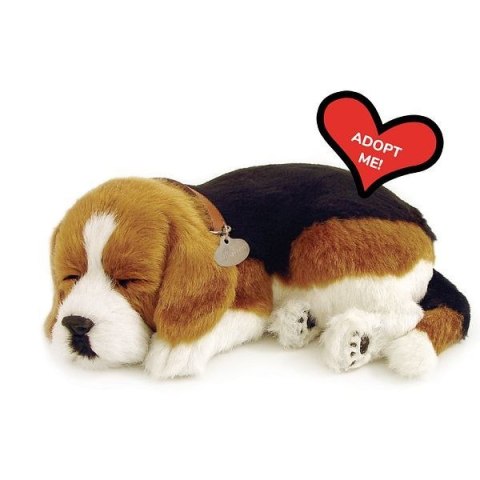 Oddychający Pies Beagle Perfect Petzzz Interaktywny Szczeniaczek