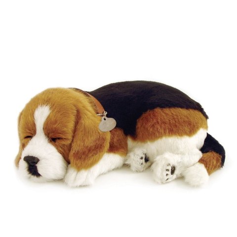 Oddychający Pies Beagle Perfect Petzzz Interaktywny Szczeniaczek
