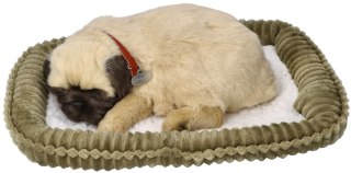 Oddychający Piesek Mops Perfect Petzzz Interaktywna Maskotka Pluszowa