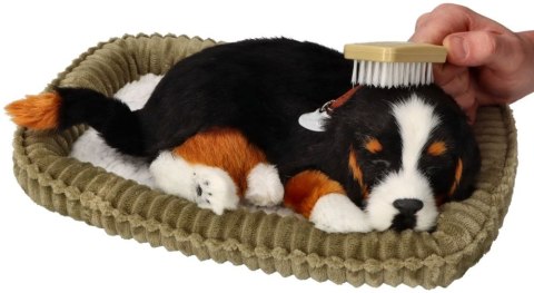 Oddychający Pies Berneński Perfect Petzzz Interaktywny Szczeniaczek