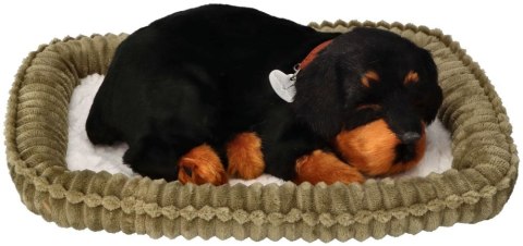 Oddychający Piesek Rottweiler Perfect Petzzz Interaktywna Maskotka Szczeniaczek
