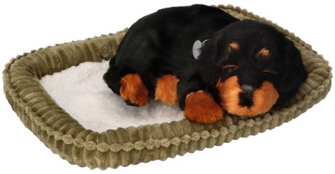Oddychający Piesek Rottweiler Perfect Petzzz Interaktywna Maskotka Szczeniaczek