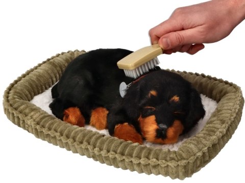 Oddychający Piesek Rottweiler Perfect Petzzz Interaktywna Maskotka Szczeniaczek