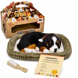 Oddychający Pies Berneński Perfect Petzzz Interaktywny Szczeniaczek