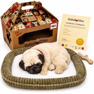 Oddychający Piesek Mops Perfect Petzzz Interaktywna Maskotka Pluszowa